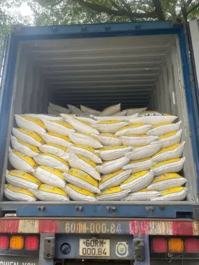 PHÈN NHÔM INDONESIA DILMALUM (Aluminium Sulfate) 