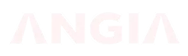 CÔNG TY CỔ PHẦN BÌNH LONG HẢI