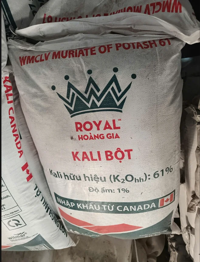 KALI Bột Canada
